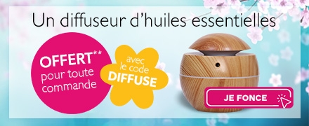 Maison, Brico & Jardin