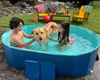 Piscine pliante taille m
